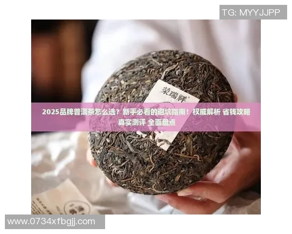 网球新手必看团队协作技巧与实用策略全面指南