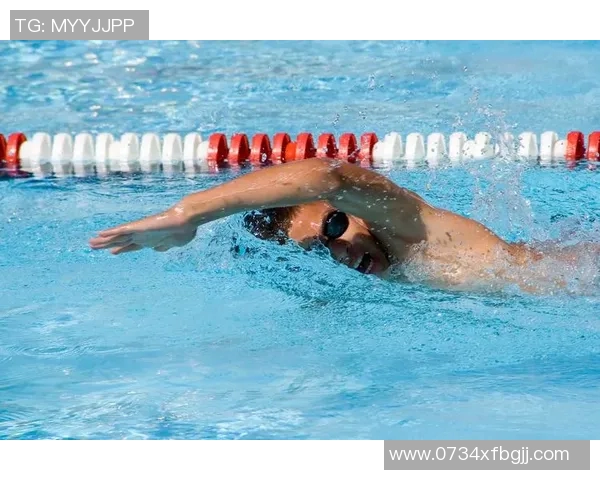 自由泳技巧提升与训练方法全面解析助你突破游泳极限